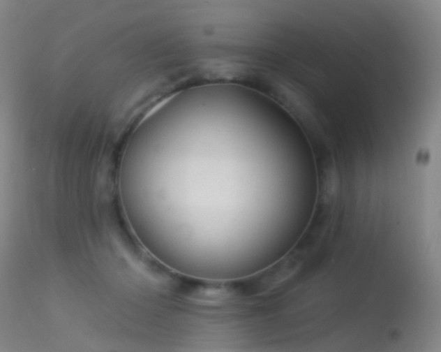 X0000113230414200909171543