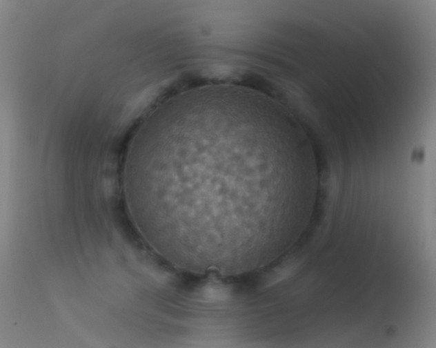 X0000113230416200909171543