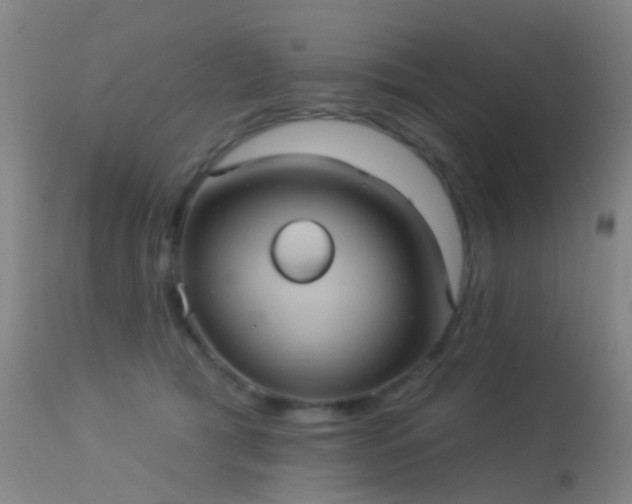 X0000113230417200909171543