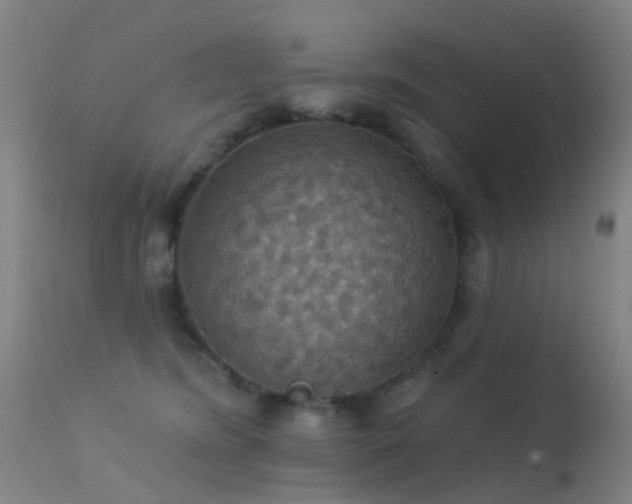 X0000113230420200909171543