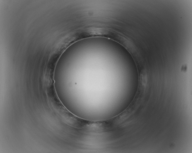 X0000113230422200909171543