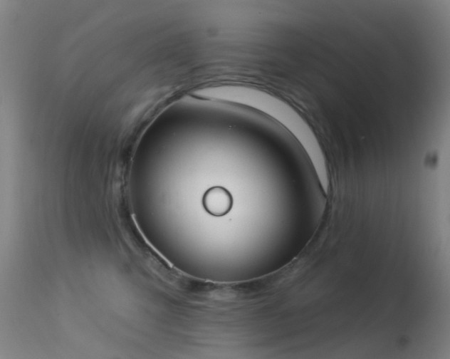 X0000113230423200909171543