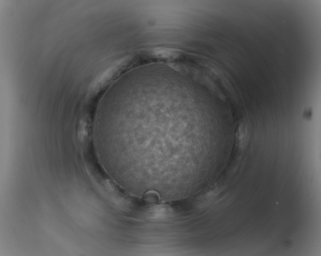 X0000113230424200909171543