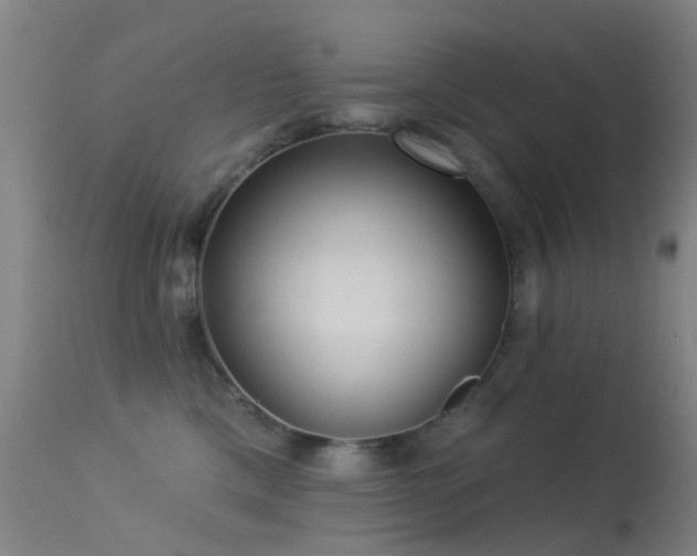 X0000113230425200909171543