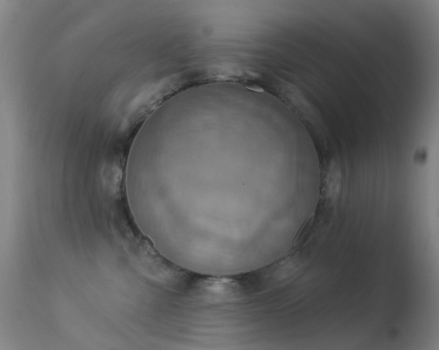 X0000113230427200909171543