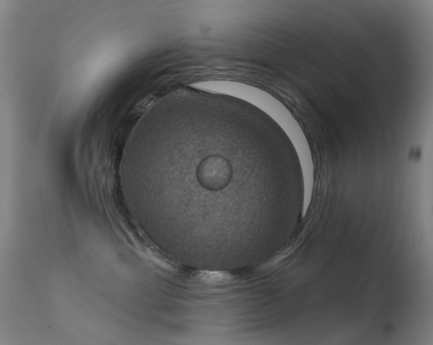 X0000113230429200909171543