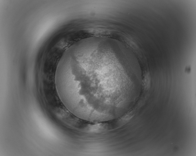 X0000113230430200909171543