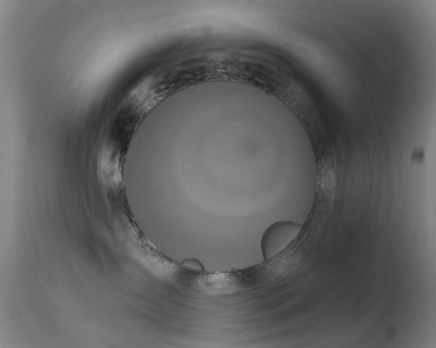 X0000113230431200909171543