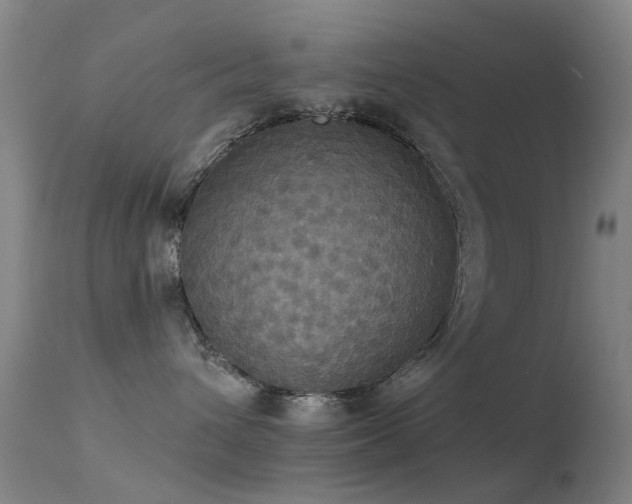 X0000113230432200909171543