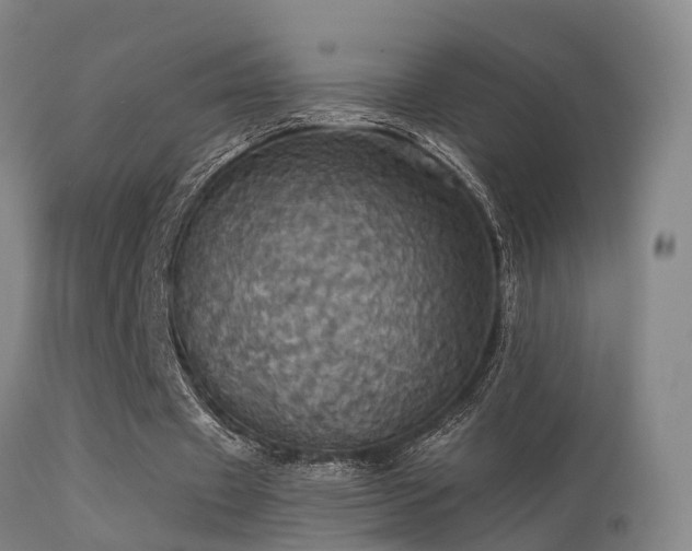 X0000113230433200909171542