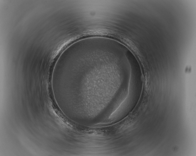 X0000113230434200909171542