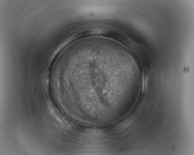 X0000113230435200909171542