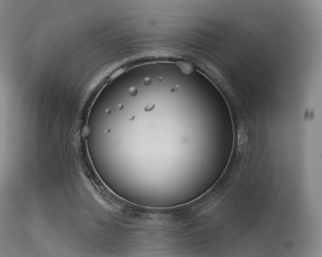 X0000113230436200909171542