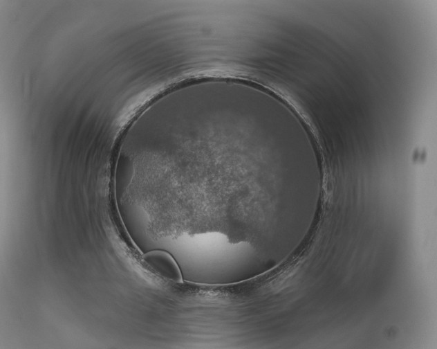 X0000113230437200909171542