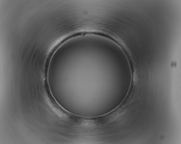 X0000113230438200909171542