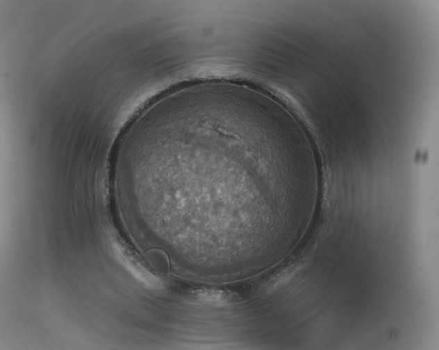 X0000113230439200909171542