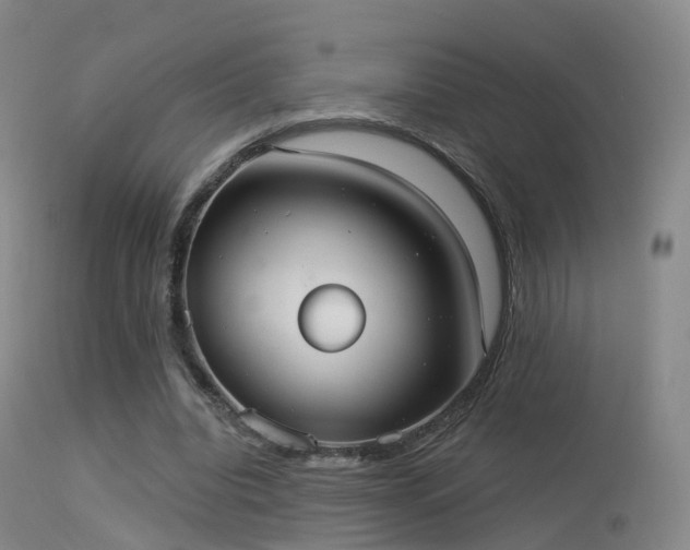 X0000113230440200909171543