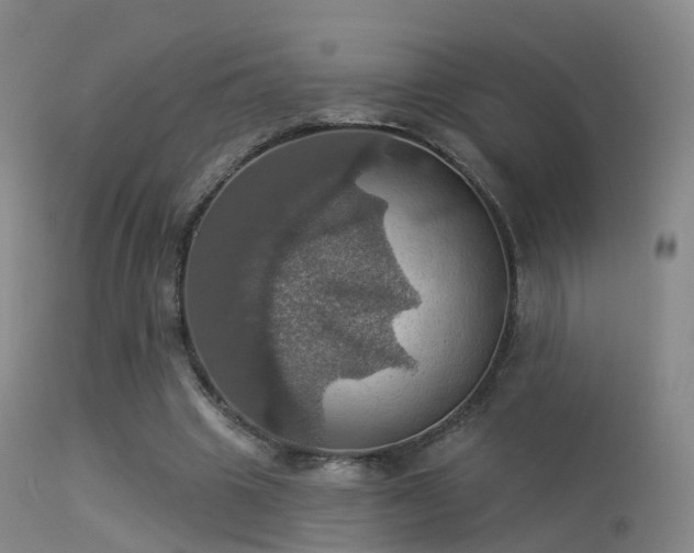 X0000113230441200909171543