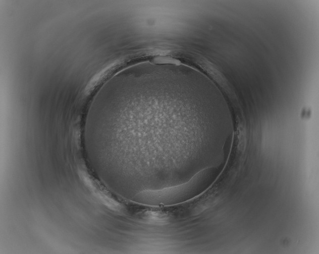 X0000113230442200909171543