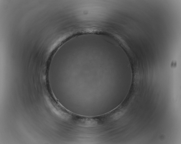 X0000113230443200909171543