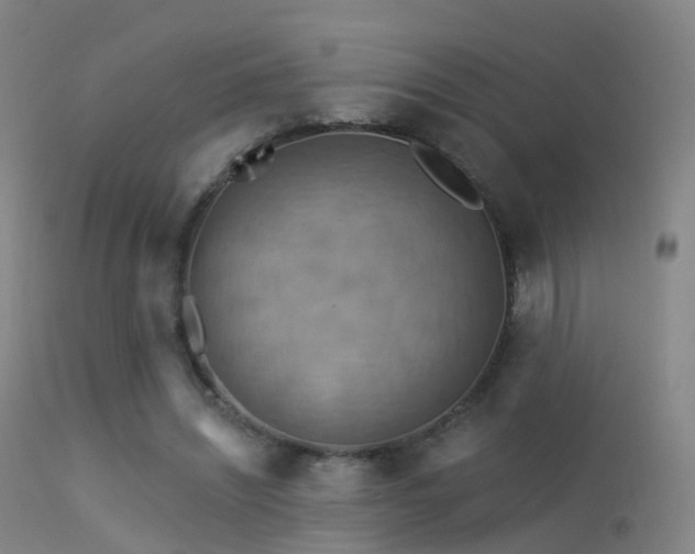 X0000113230444200909171543