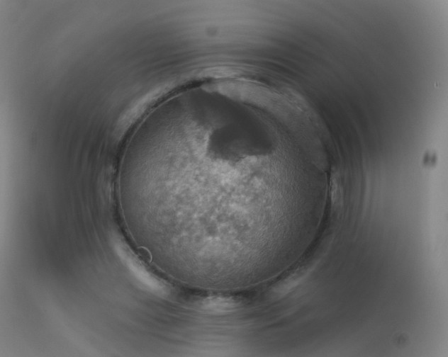 X0000113230445200909171543