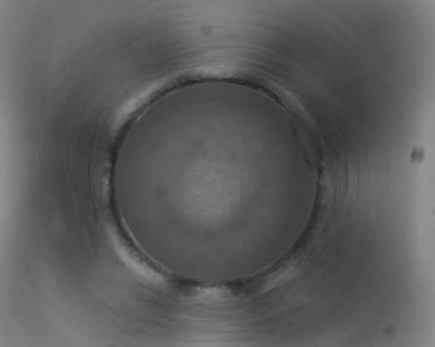 X0000113230446200909171543