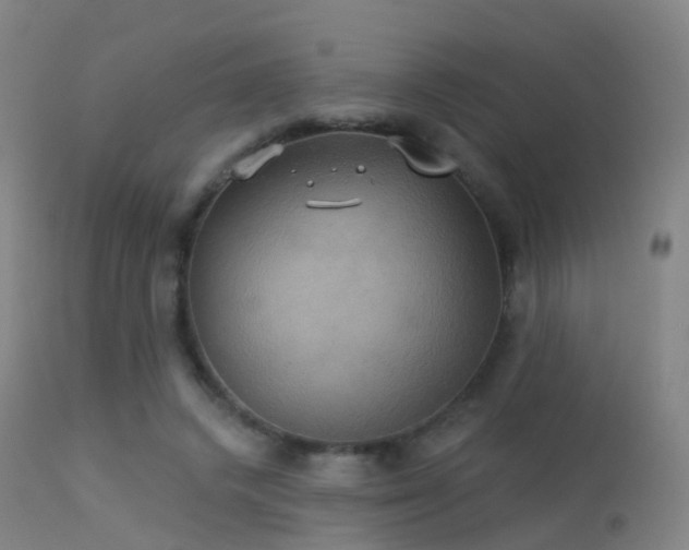 X0000113230448200909171543