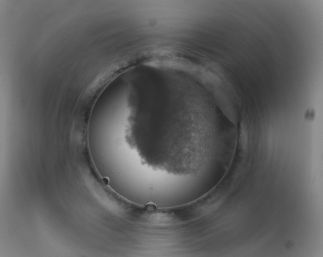 X0000113230449200909171543