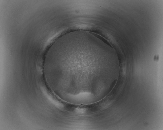 X0000113230450200909171543