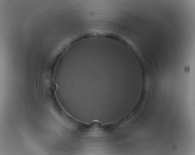 X0000113230451200909171543