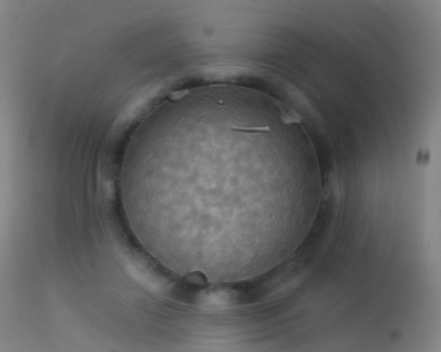 X0000113230452200909171543