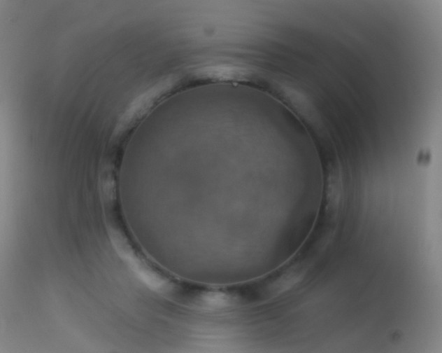 X0000113230453200909171543