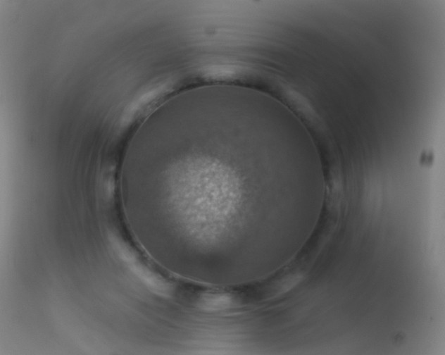 X0000113230454200909171543