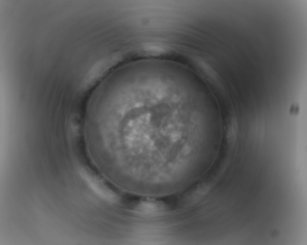 X0000113230455200909171543