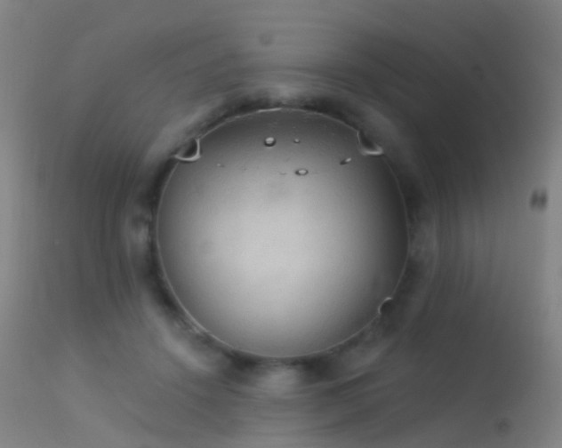 X0000113230456200909171543