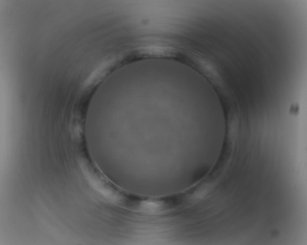 X0000113230457200909171543