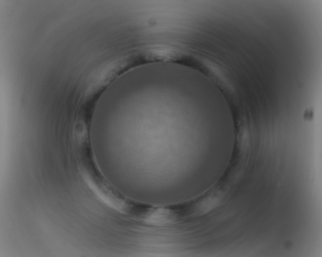 X0000113230459200909171543