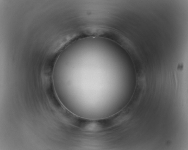 X0000113230460200909171543