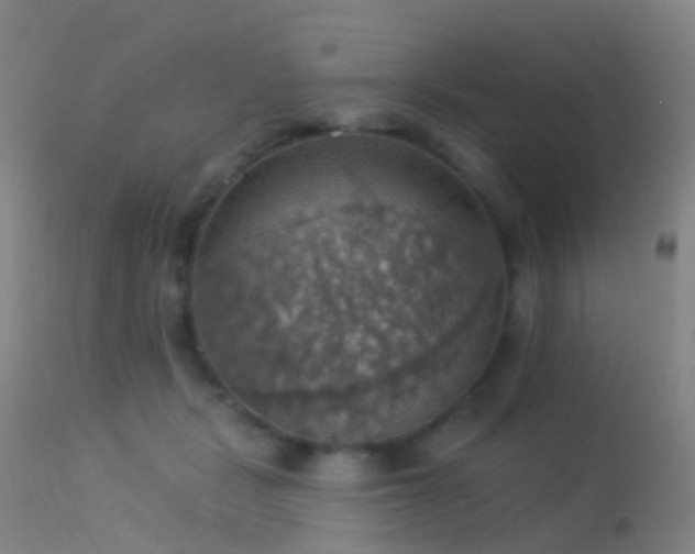 X0000113230461200909171543