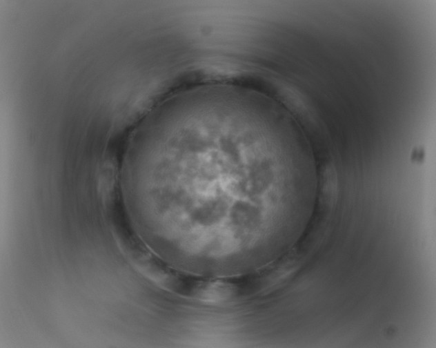 X0000113230463200909171543