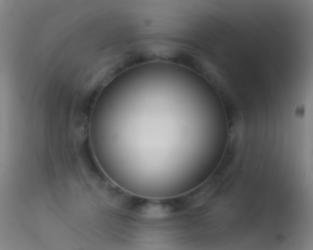 X0000113230464200909171543