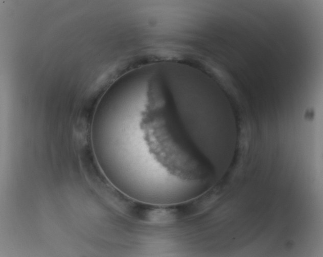 X0000113230465200909171543