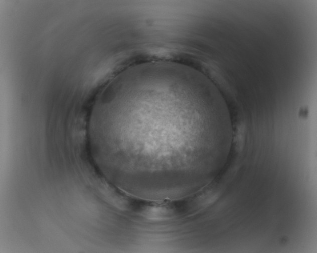 X0000113230466200909171543