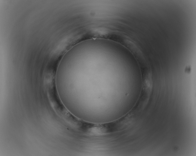 X0000113230468200909171543