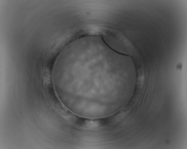 X0000113230469200909171543