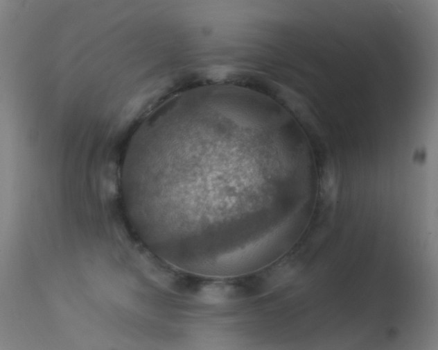 X0000113230470200909171543