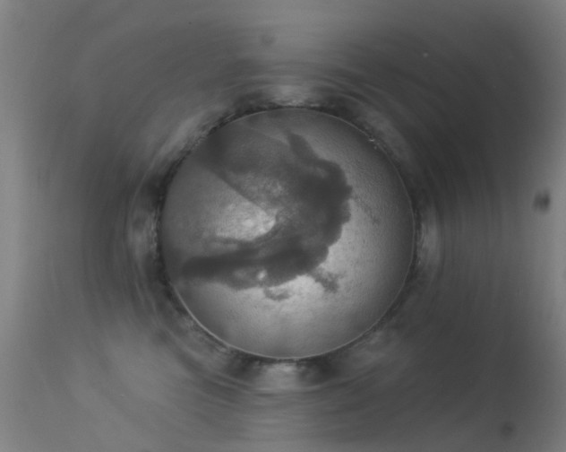 X0000113230473200909171543