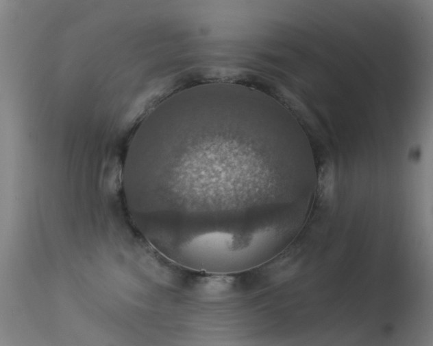 X0000113230474200909171543