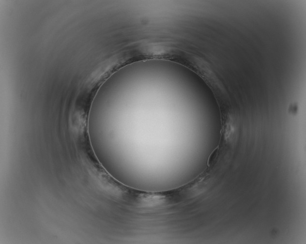 X0000113230476200909171543